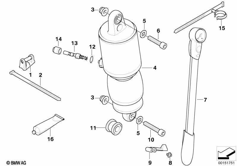 Federbein hinten