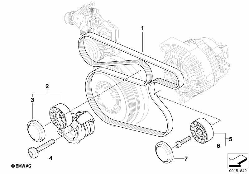 Riementrieb für Wasserpumpe/Generator