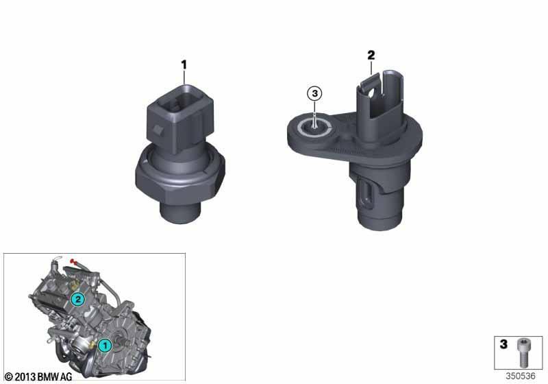 Sensorik Motor