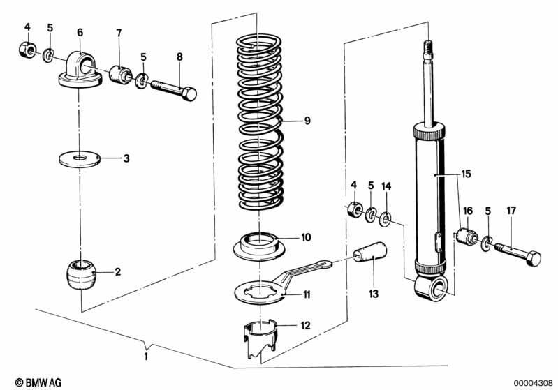 Federbein hinten