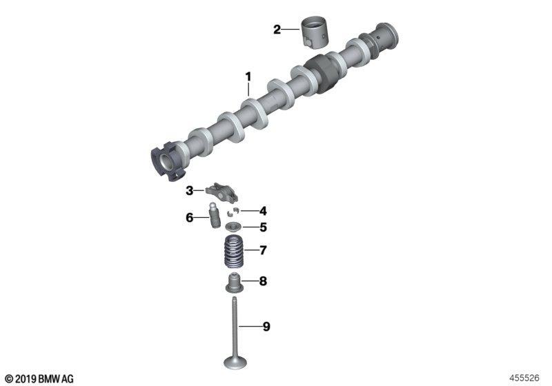 Ventilsteuerung-Nockenwelle Auslass