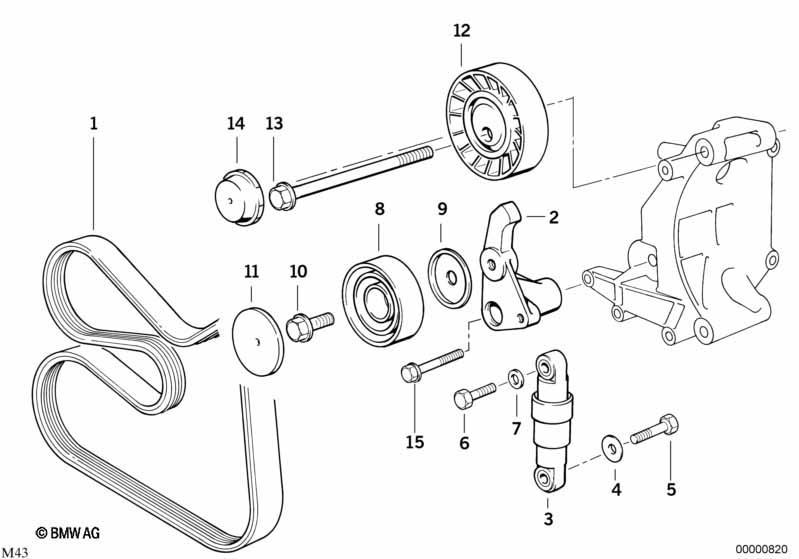 Riementrieb für Wasserpumpe/Generator