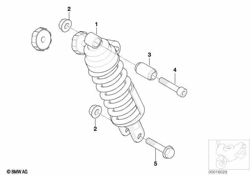 Federbein hinten