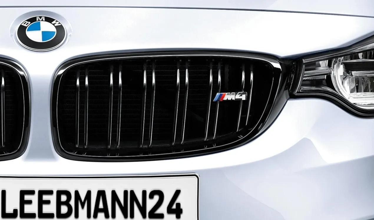 BMW M Performance Anti Gurtwarner in 2560 Berndorf für € 15,00 zum Verkauf