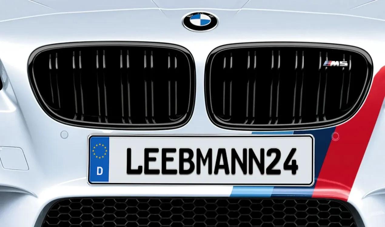BMW M Performance Nieren Ziergitter Schwarz 5er F10 F11