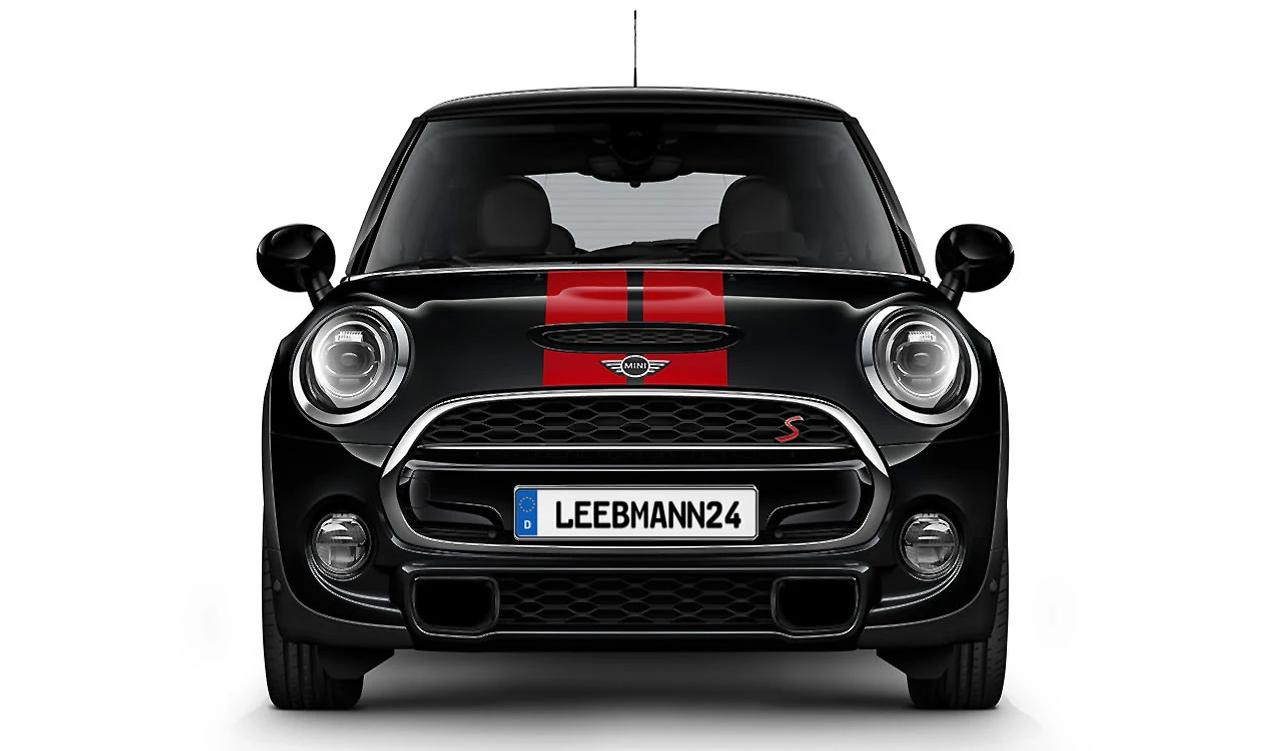 https://cdn.leebmann24.com/products/7/3/a/f/73af7ea6b172aa74ee071f4354ba8dd04087f19e_mini_sportstreifen_chili_red_body_kit_51142414313_1_1.jpg