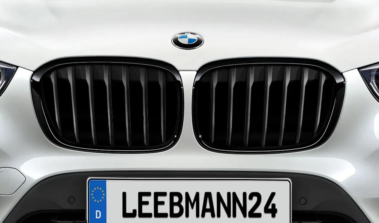 BMW M Performance Nieren Ziergitter Schwarz 5er F10 F11